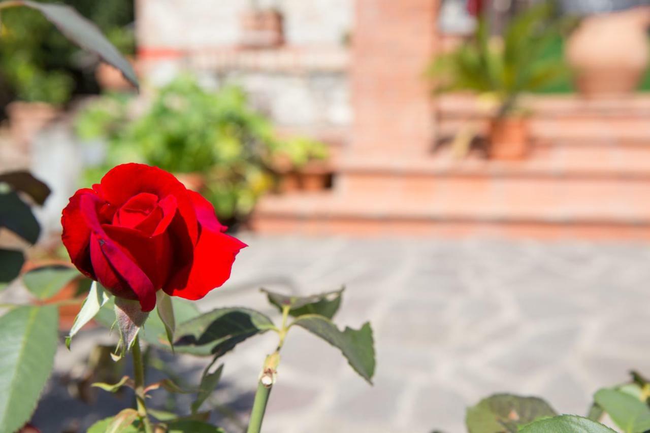 B&B Spring Перуджа Экстерьер фото